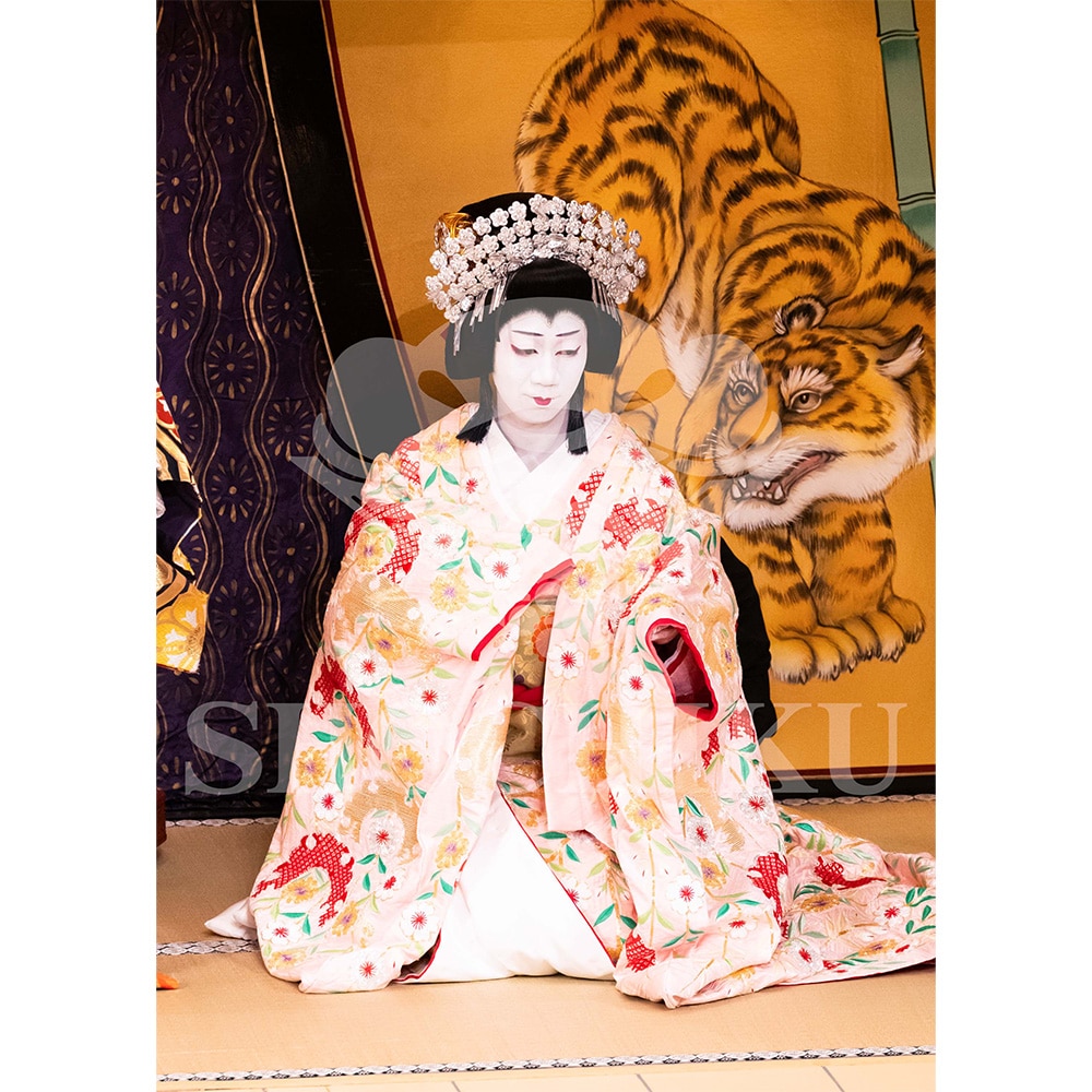 2026�N1�� ��㏼�|���u�� ���t�̕�����ʌ����v�u���}�C�h�^�w�_���՗�M�L�x�^115