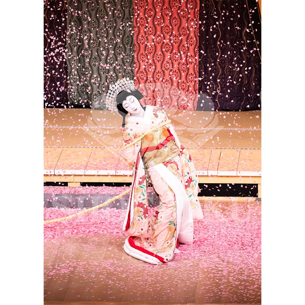 2026�N1�� ��㏼�|���u�� ���t�̕�����ʌ����v�u���}�C�h�^�w�_���՗�M�L�x�^116