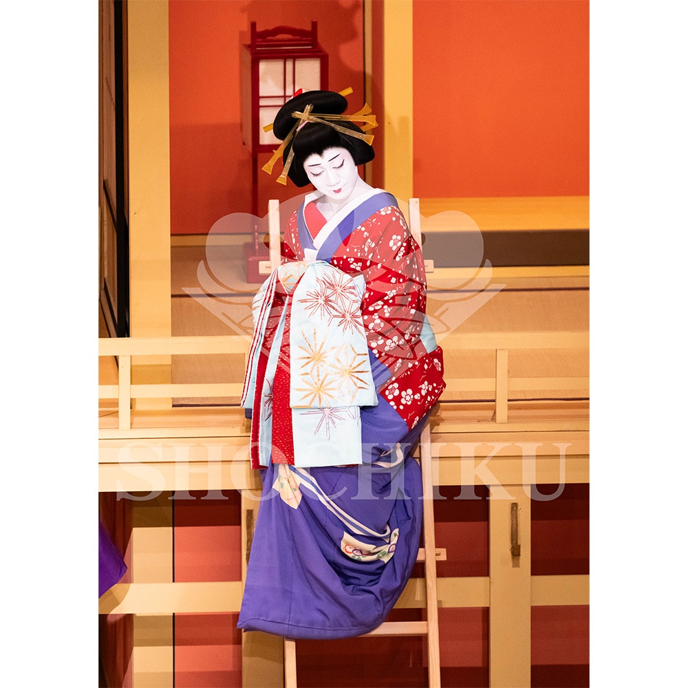 2026�N1�� ��㏼�|���u�� ���t�̕�����ʌ����v�u���}�C�h�^�w������{���b���x�^121