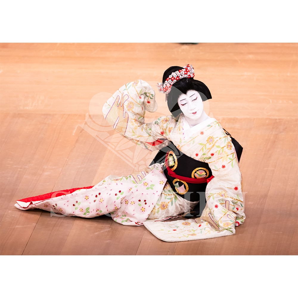 2026�N1�� ��㏼�|���u�� ���t�̕�����ʌ����v�u���}�C�h�^�w�����q���������x�^127