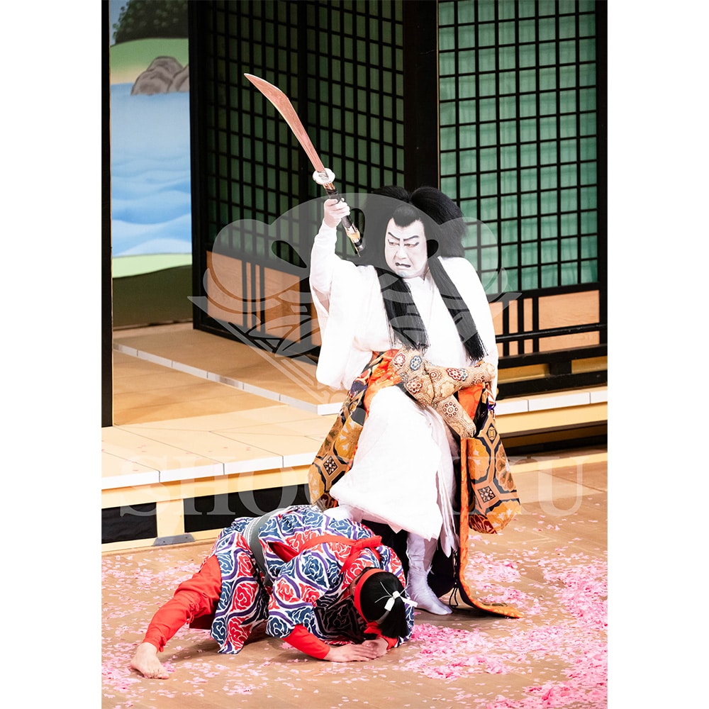 2026�N1�� ��㏼�|���u�� ���t�̕�����ʌ����v�u���}�C�h�^�w�_���՗�M�L�x�^402