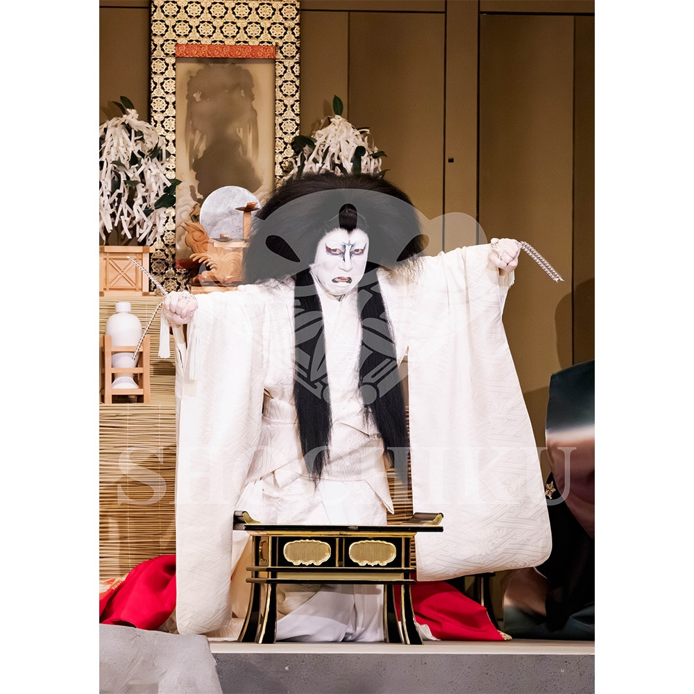 2026�N1�� ��㏼�|���u�� ���t�̕�����ʌ����v�u���}�C�h�^�w���_�x�^412