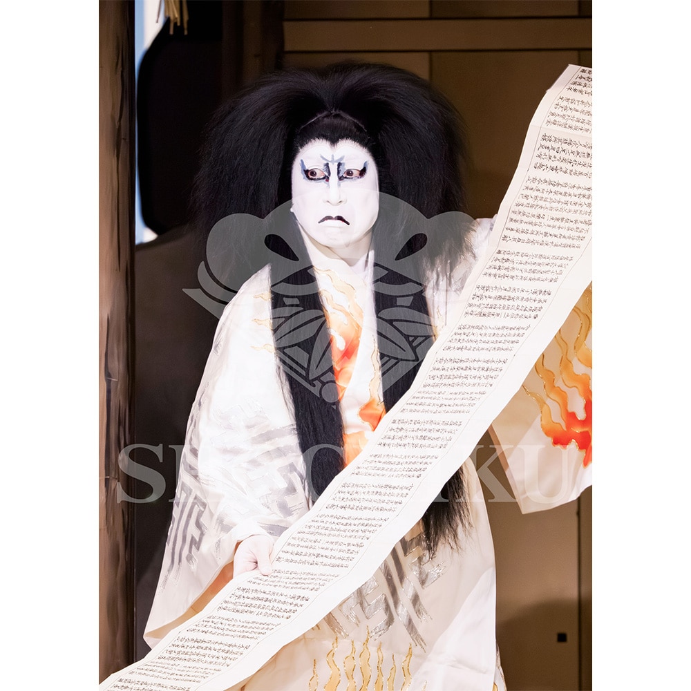 2026�N1�� ��㏼�|���u�� ���t�̕�����ʌ����v�u���}�C�h�^�w���_�x�^413