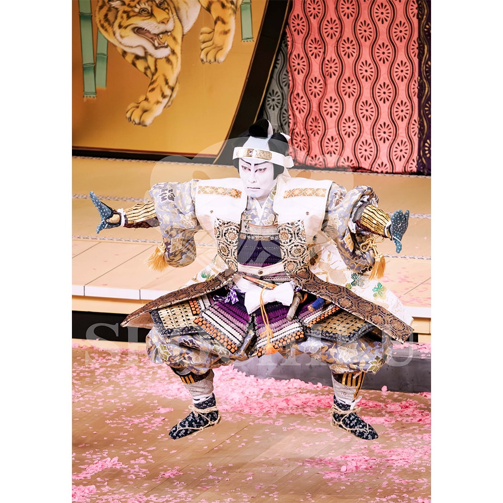 2026�N1�� ��㏼�|���u�� ���t�̕�����ʌ����v�u���}�C�h�^�w�_���՗�M�L�x�^424