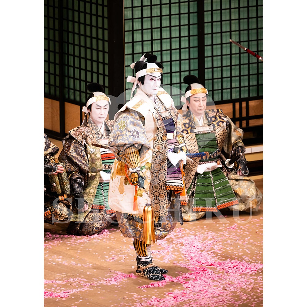 2026�N1�� ��㏼�|���u�� ���t�̕�����ʌ����v�u���}�C�h�^�w�_���՗�M�L�x�^426