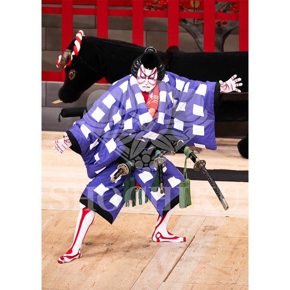 2026�N1�� ��㏼�|���u�� ���t�̕�����ʌ����v�u���}�C�h�^�w�����`����K�Ӂx�^443