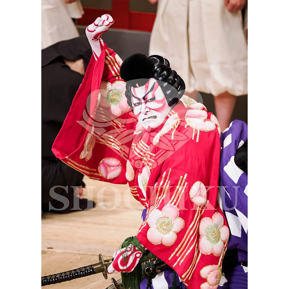 2026�N1�� ��㏼�|���u�� ���t�̕�����ʌ����v�u���}�C�h�^�w�����`����K�Ӂx�^446