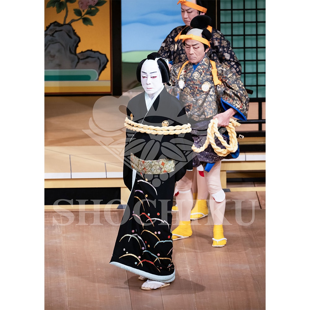 2026�N1�� ��㏼�|���u�� ���t�̕�����ʌ����v�u���}�C�h�^�w�_���՗�M�L�x�^455