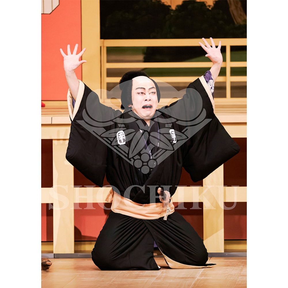 2026�N1�� ��㏼�|���u�� ���t�̕�����ʌ����v�u���}�C�h�^�w������{���b���x�^475