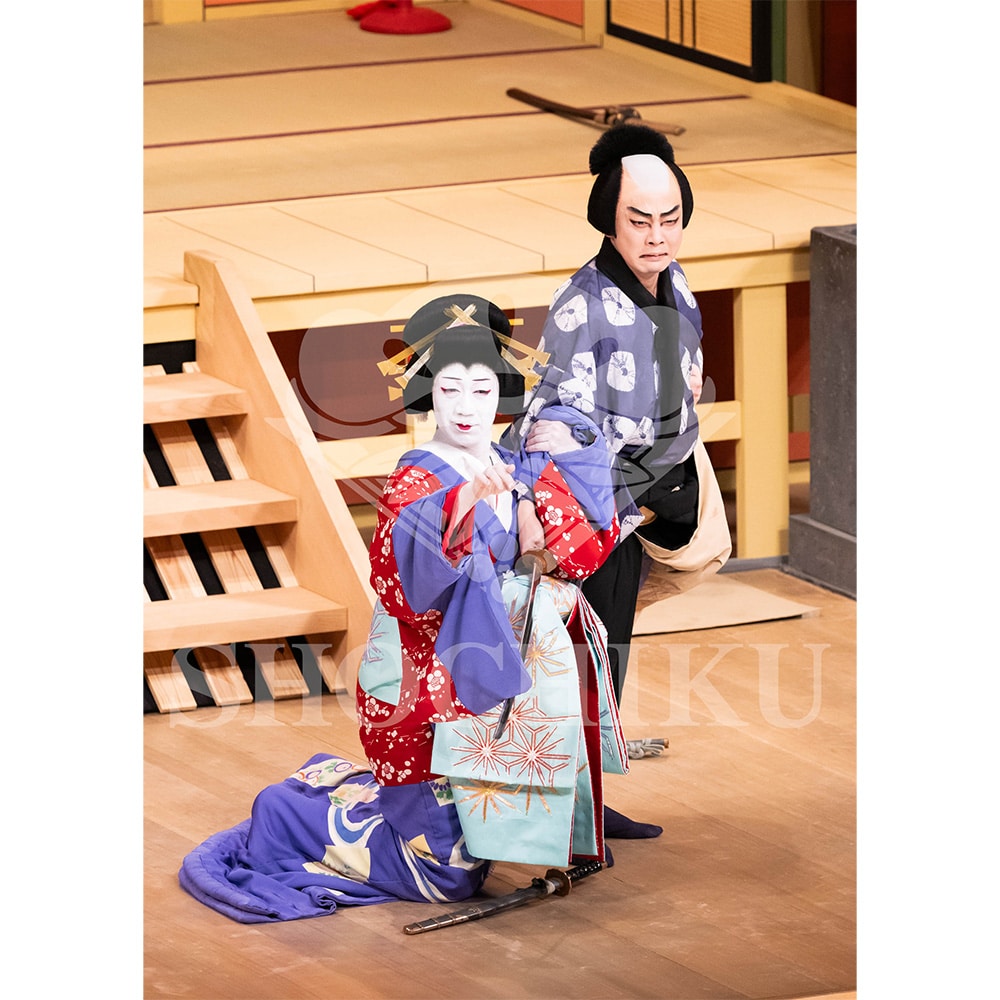 2026�N1�� ��㏼�|���u�� ���t�̕�����ʌ����v�u���}�C�h�^�w������{���b���x�^476