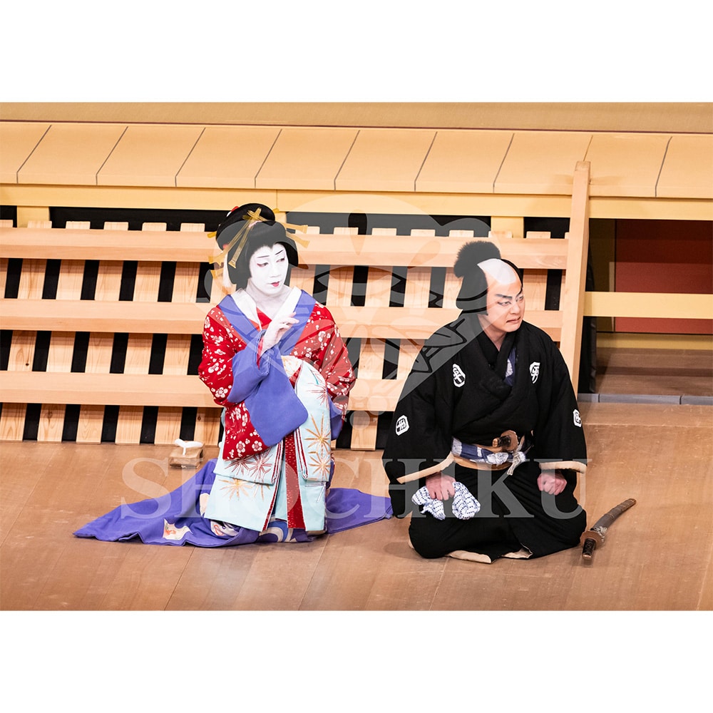 2026�N1�� ��㏼�|���u�� ���t�̕�����ʌ����v�u���}�C�h�^�w������{���b���x�^477