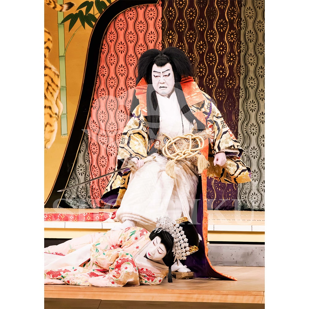 2026�N1�� ��㏼�|���u�� ���t�̕�����ʌ����v�u���}�C�h�^�w�_���՗�M�L�x�^479