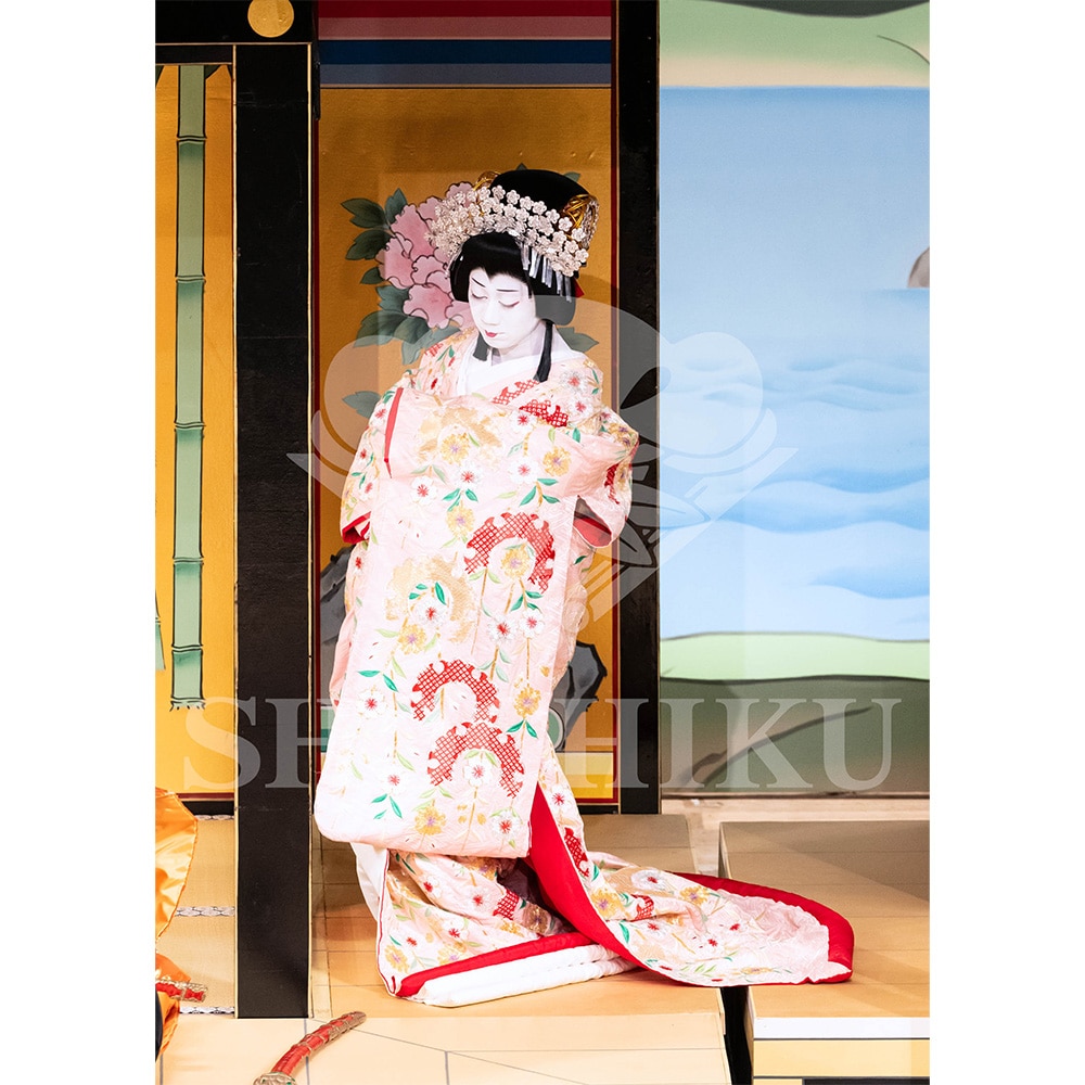 2026�N1�� ��㏼�|���u�� ���t�̕�����ʌ����v�u���}�C�h�^�w�_���՗�M�L�x�^480