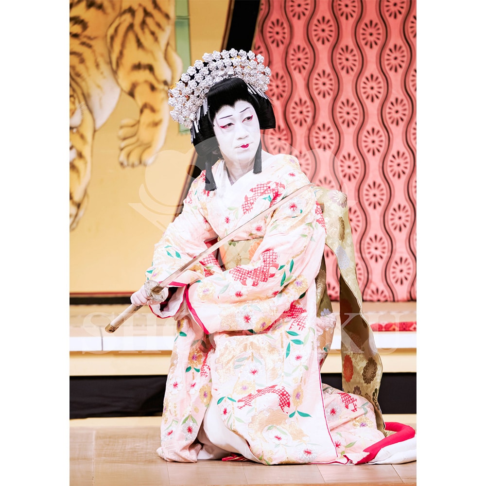 2026�N1�� ��㏼�|���u�� ���t�̕�����ʌ����v�u���}�C�h�^�w�_���՗�M�L�x�^481