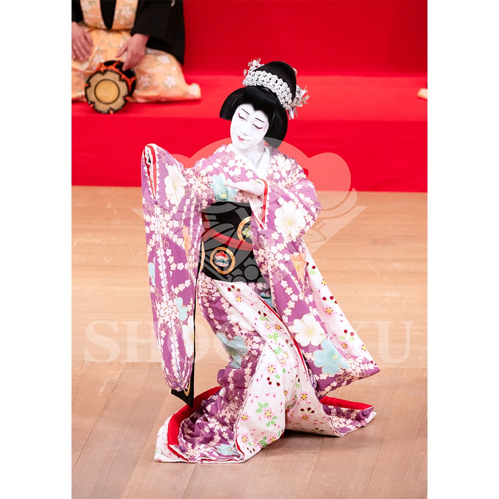 2026�N1�� ��㏼�|���u�� ���t�̕�����ʌ����v�u���}�C�h�^�w�����q���������x�^489