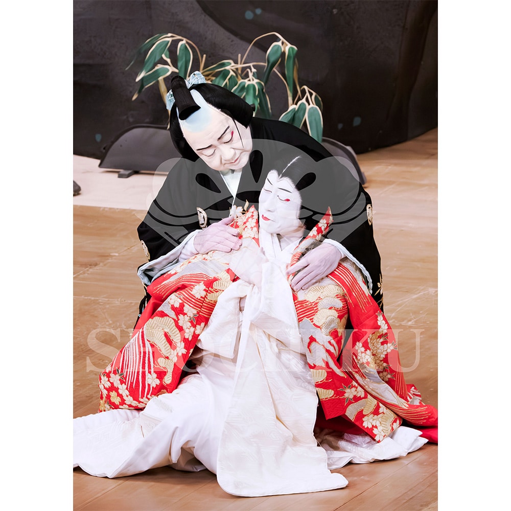 2026�N1�� ��㏼�|���u�� ���t�̕�����ʌ����v�u���}�C�h�^�w���_�x�^495