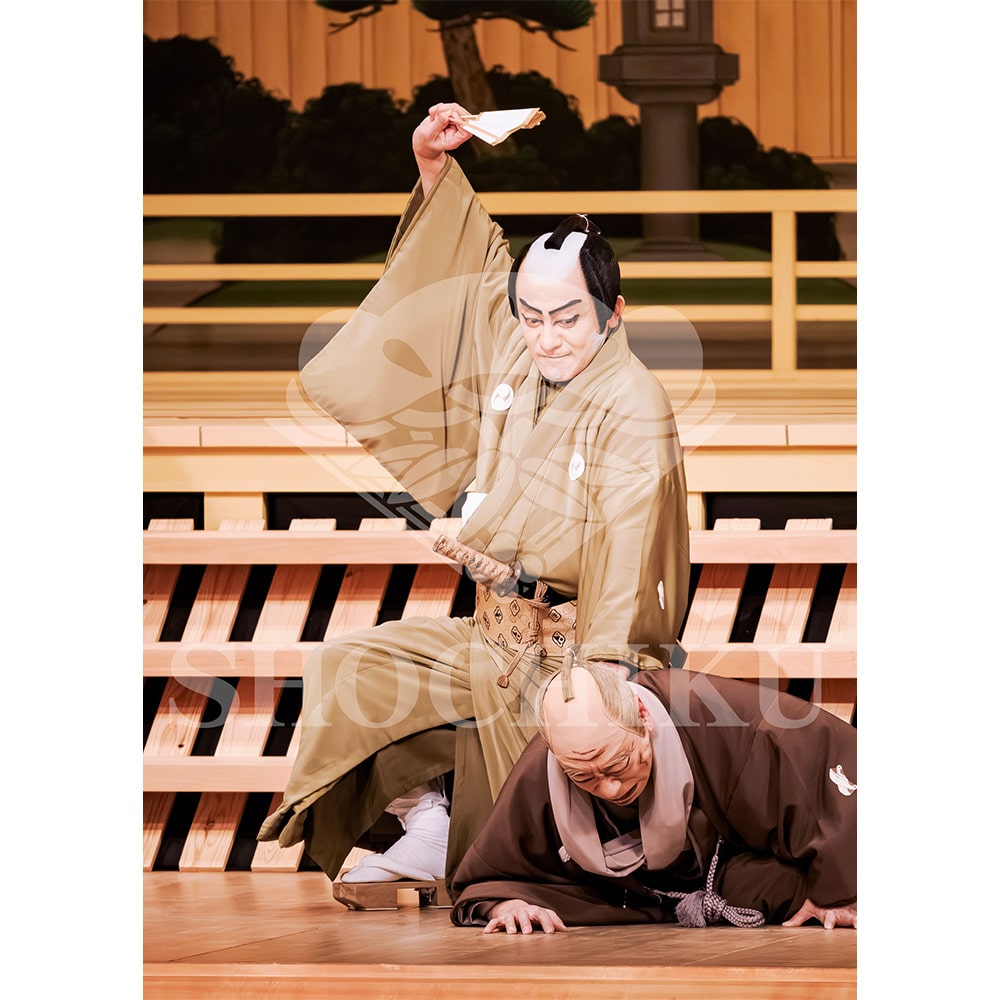 2026�N1�� ��㏼�|���u�� ���t�̕�����ʌ����v�u���}�C�h�^�w������{���b���x�^505