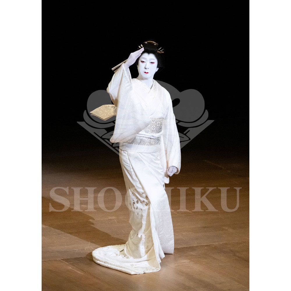 2026�N2�� ��㏼�|���u�Ⓦ�ʎO�Y�@��㏼�|�����c�̉؁v�u���}�C�h�^�w�c���x�^009