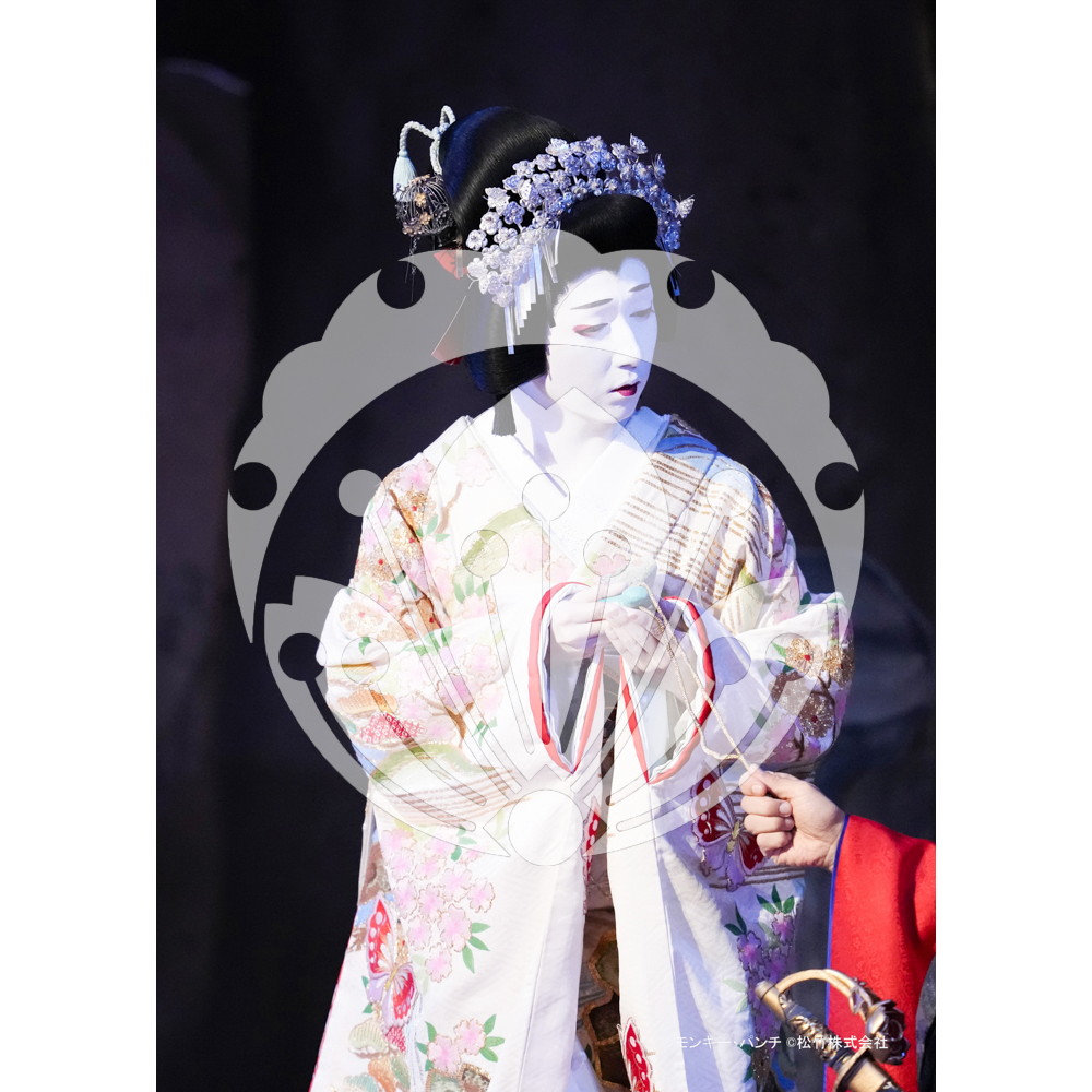 2026年3月 新橋演舞場『流白浪燦星 碧翠の麗城』ブロマイド／217