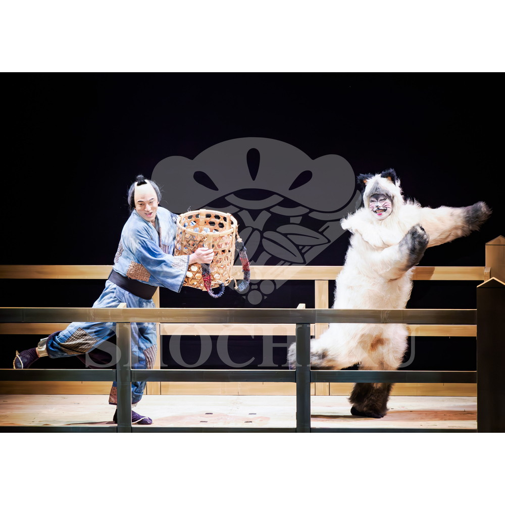 2026年4月 大阪松竹座さよなら公演「御名残四月大歌舞伎」ブロマイド／『大當り伏見の富くじ』／578