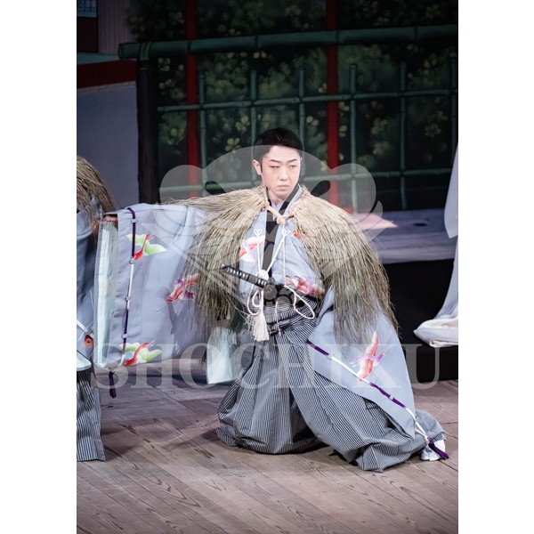 2026年5月 南座「歌舞伎鑑賞教室」ブロマイド／『歌舞伎の魅力』／435