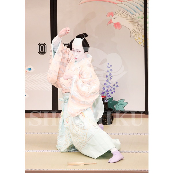 2026年5月 大阪松竹座さよなら公演「御名残五月大歌舞伎」ブロマイド／『鰯賣戀曳網』／062