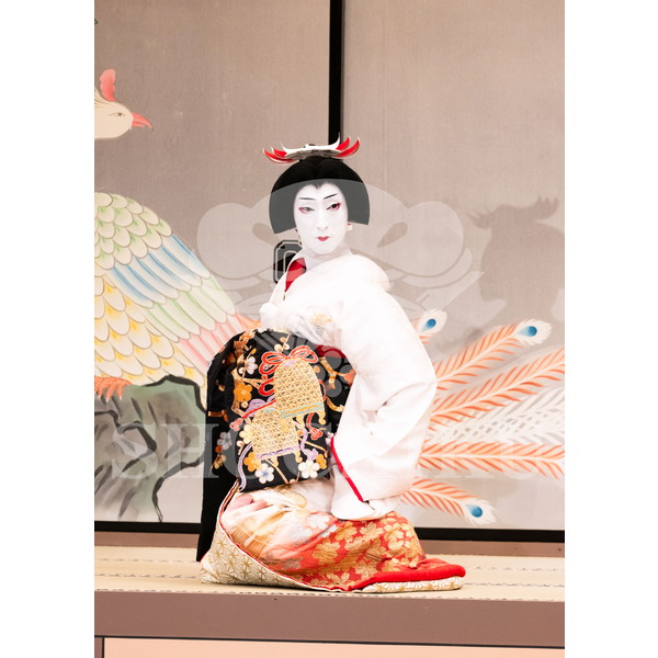 2026年5月 大阪松竹座さよなら公演「御名残五月大歌舞伎」ブロマイド／『鰯賣戀曳網』／070