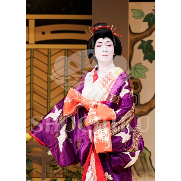 2026年5月 大阪松竹座さよなら公演「御名残五月大歌舞伎」ブロマイド／『鰯賣戀曳網』／091