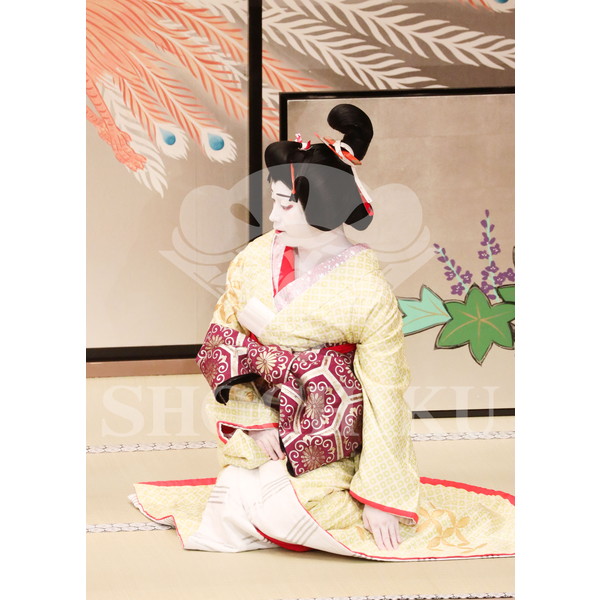 2026年5月 大阪松竹座さよなら公演「御名残五月大歌舞伎」ブロマイド／『鰯賣戀曳網』／107
