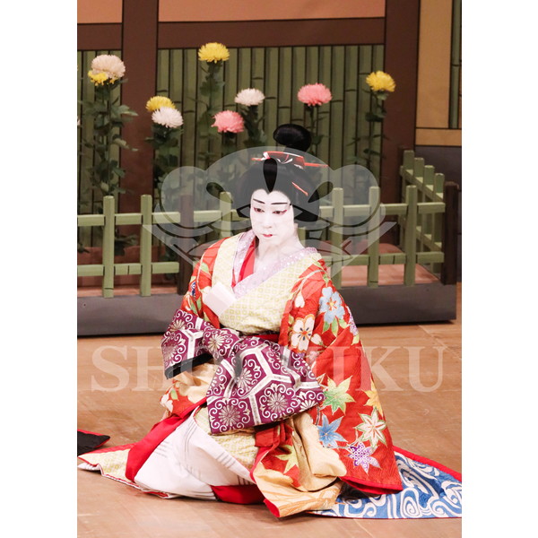 2026年5月 大阪松竹座さよなら公演「御名残五月大歌舞伎」ブロマイド／『鰯賣戀曳網』／108