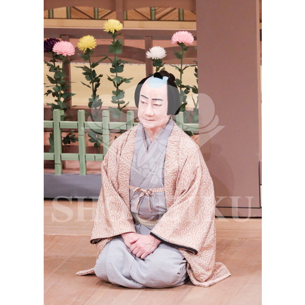 2026年5月 大阪松竹座さよなら公演「御名残五月大歌舞伎」ブロマイド／『鰯賣戀曳網』／135
