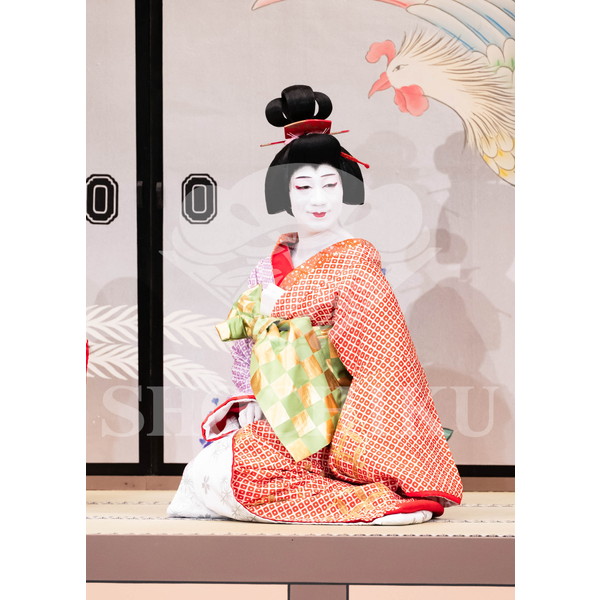2026年5月 大阪松竹座さよなら公演「御名残五月大歌舞伎」ブロマイド／『鰯賣戀曳網』／151