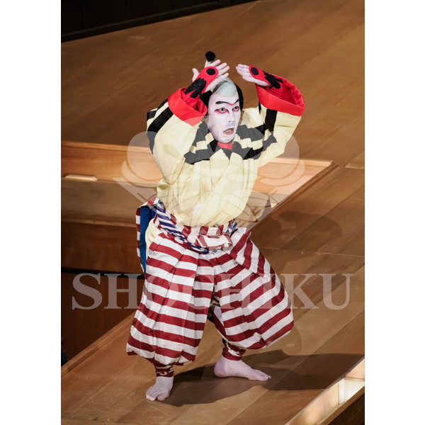 2026年5月 大阪松竹座さよなら公演「御名残五月大歌舞伎」ブロマイド／『近江源氏先陣館』／170