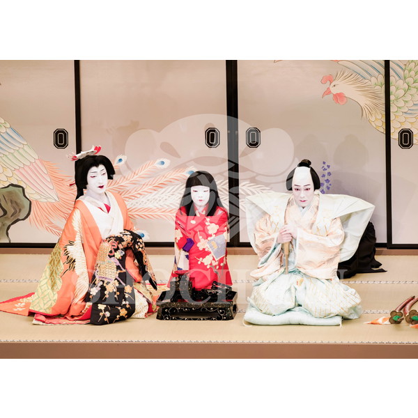2026年5月 大阪松竹座さよなら公演「御名残五月大歌舞伎」ブロマイド／『鰯賣戀曳網』／183