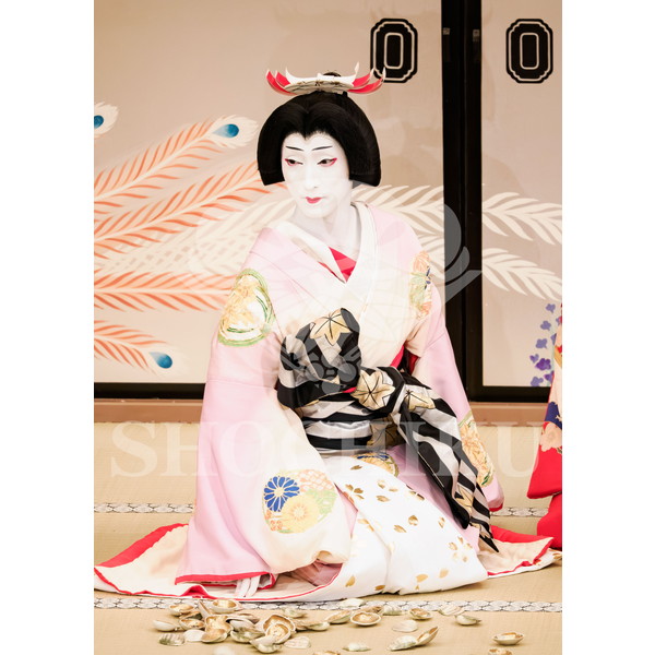 2026年5月 大阪松竹座さよなら公演「御名残五月大歌舞伎」ブロマイド／『鰯賣戀曳網』／477