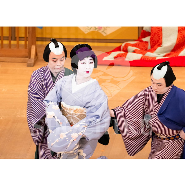 2026年5月 大阪松竹座さよなら公演「御名残五月大歌舞伎」ブロマイド／『當繋藝招西姿繪』／502