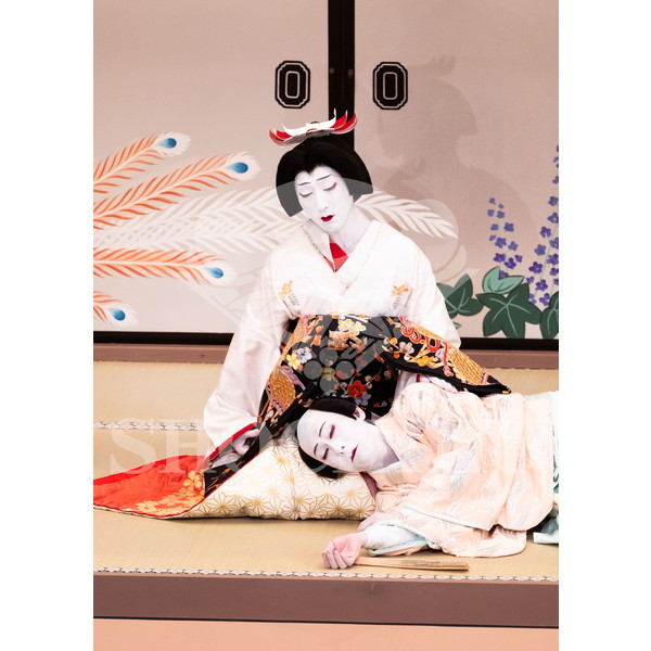 2026年5月 大阪松竹座さよなら公演「御名残五月大歌舞伎」ブロマイド／『鰯賣戀曳網』／518