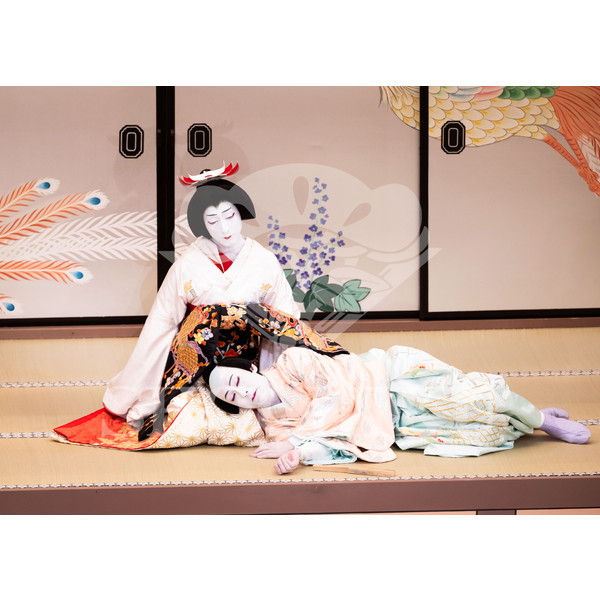 2026年5月 大阪松竹座さよなら公演「御名残五月大歌舞伎」ブロマイド／『鰯賣戀曳網』／519