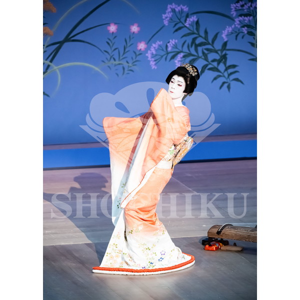 2026年6月 南座「南座特別公演 坂東玉三郎出演」ブロマイド／『秋の色種』／014