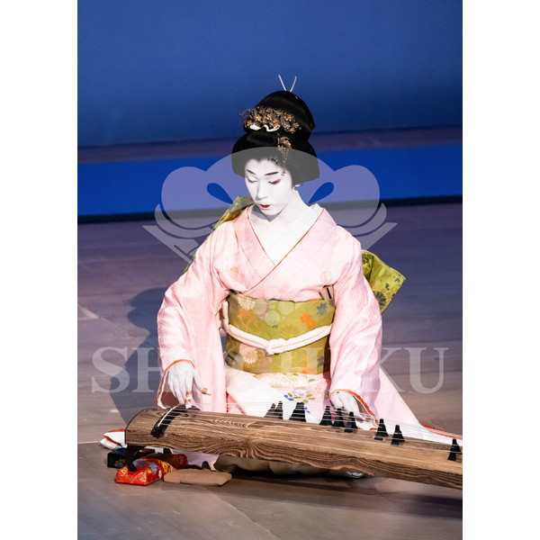 2026年6月 南座「南座特別公演 坂東玉三郎出演」ブロマイド／『秋の色種』／017