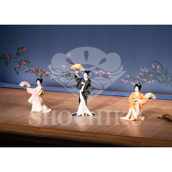 2026年6月 南座「南座特別公演 坂東玉三郎出演」ブロマイド／『秋の色種』／023