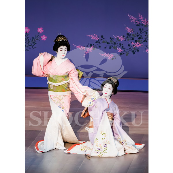 2026年6月 南座「南座特別公演 坂東玉三郎出演」ブロマイド／『秋の色種』／024