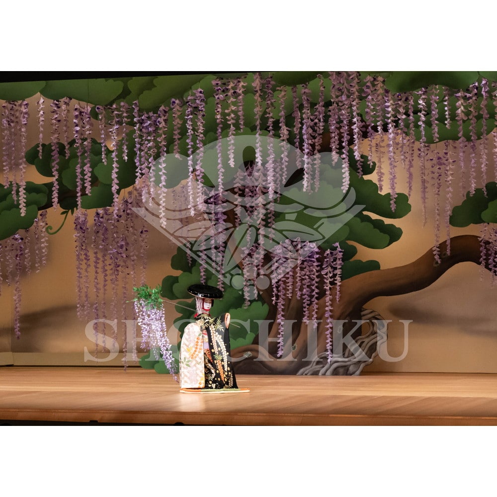 2026年10月 御園座「御園座錦秋歌舞伎」ブロマイド／『藤娘』／063
