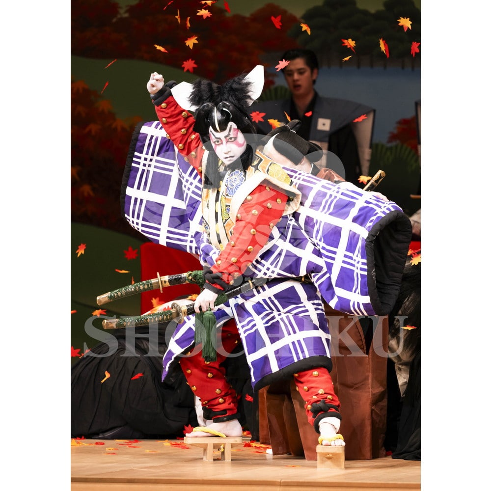 2026年10月 南座「市川團十郎特別公演」ブロマイド／『荒事 大力天無双』／012