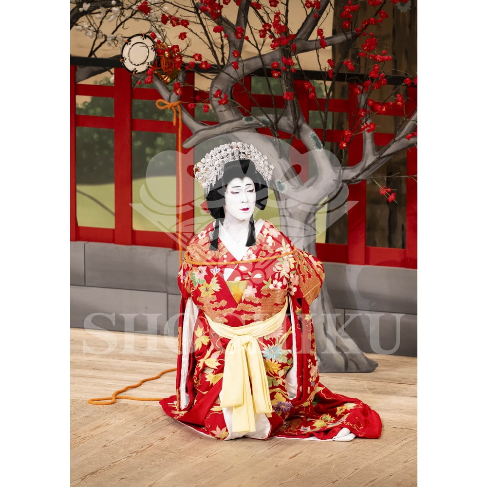 2026年10月 南座「市川團十郎特別公演」ブロマイド／『義経千本桜』／104