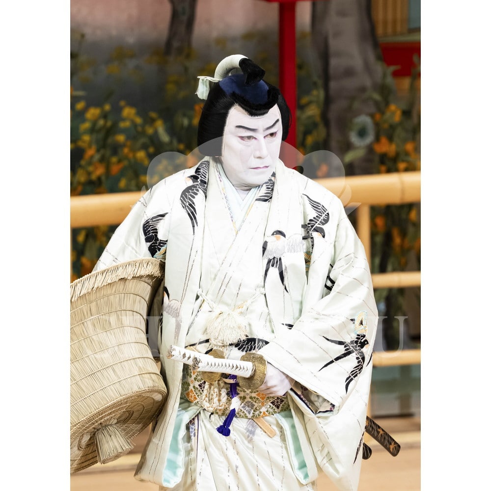 2026年10月 南座「市川團十郎特別公演」ブロマイド／『鞘當』／476
