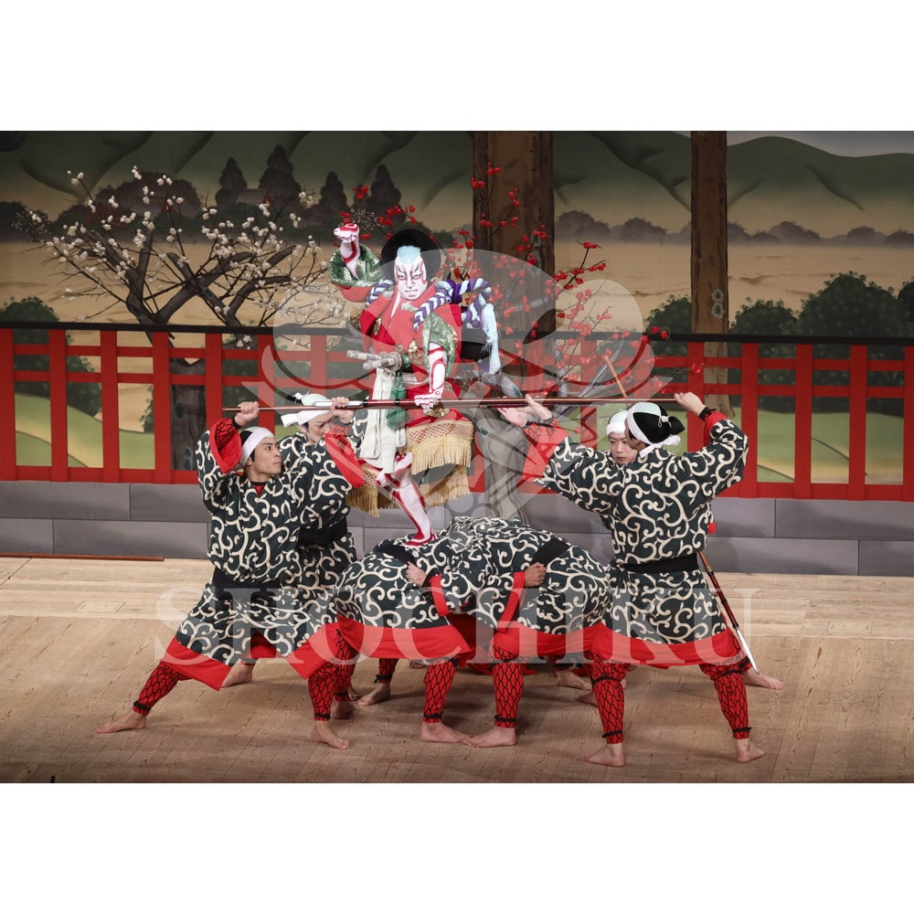 2026年10月 南座「市川團十郎特別公演」ブロマイド／『義経千本桜』／513