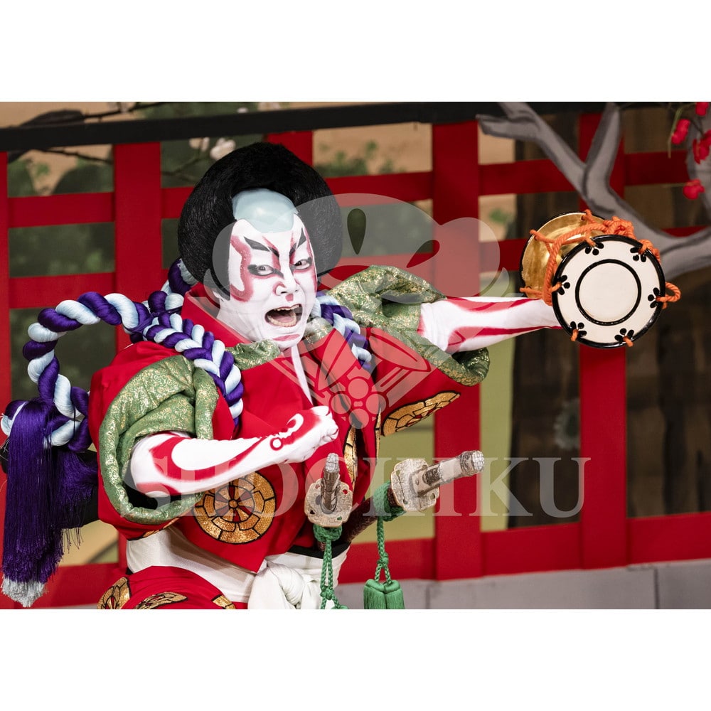 2026年10月 南座「市川團十郎特別公演」ブロマイド／『義経千本桜』／514