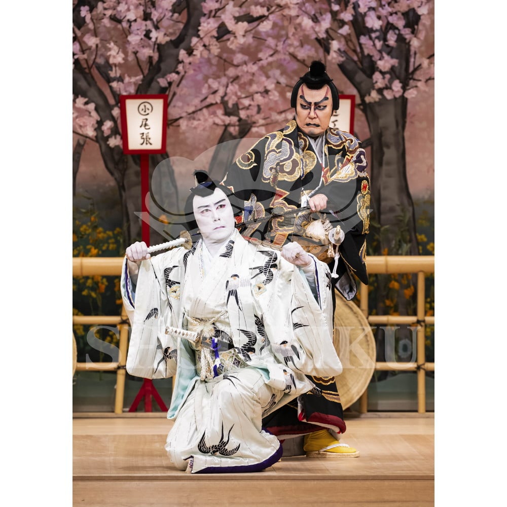 2026年10月 南座「市川團十郎特別公演」ブロマイド／『鞘當』／532