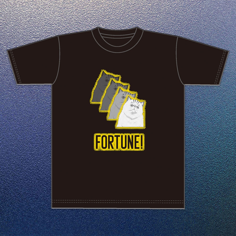 �@����m�K���_�� �M���̃n�T�E�F�C �L���P�[�̖����@T�V���c�i�l�t�j